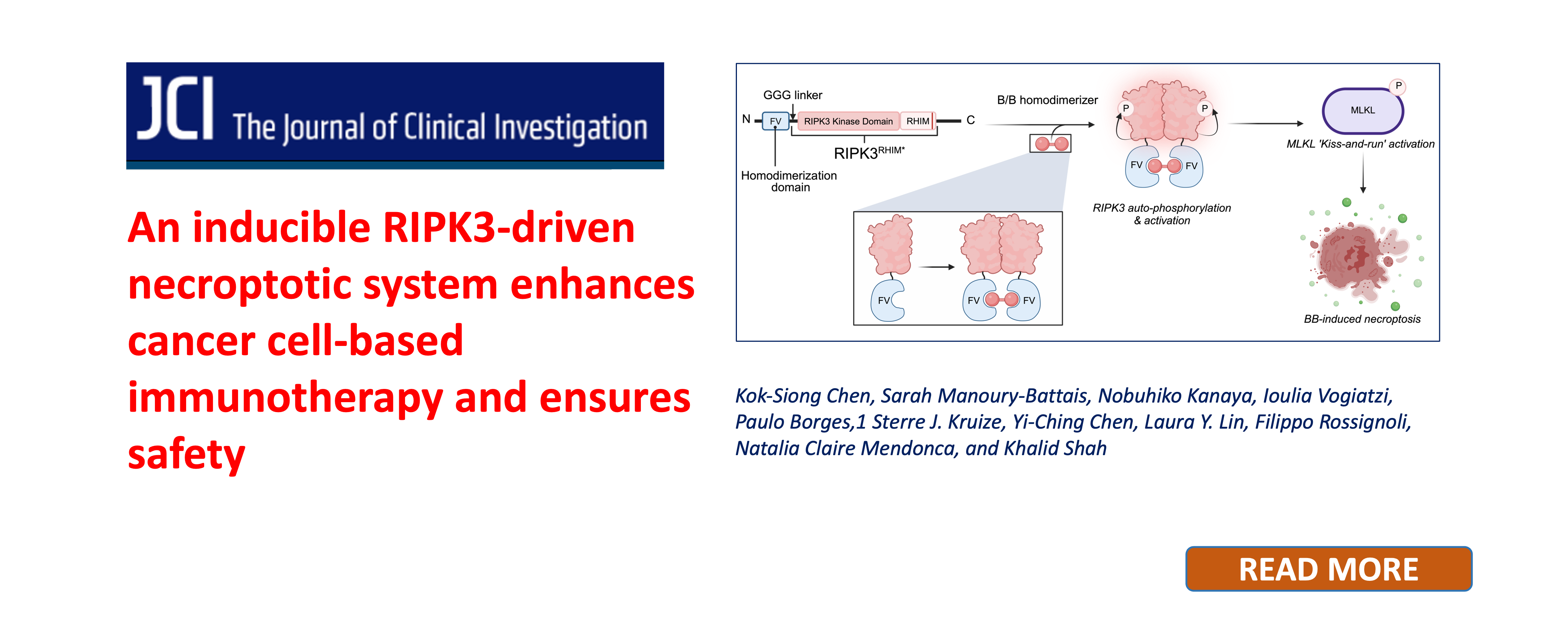 An inducible RIPK3-driven necroptotic system enhances cancer cell-based immunotherapy and ensures safety